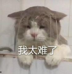 内娱吃瓜爆料,揭秘娱乐圈背后的秘密与真相