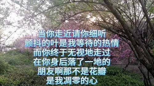 一棵开花的树朗诵视频,一场视觉与听觉的盛宴