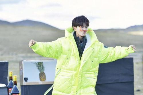 任嘉伦娱乐吃瓜,吃瓜群众揭秘幕后真相